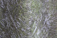 Bacon End fibreglass roof work